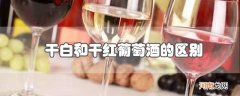 干白和干红葡萄酒的区别优质