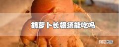 胡萝卜长根须能吃吗优质