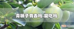 青柿子有毒吗,能吃吗优质