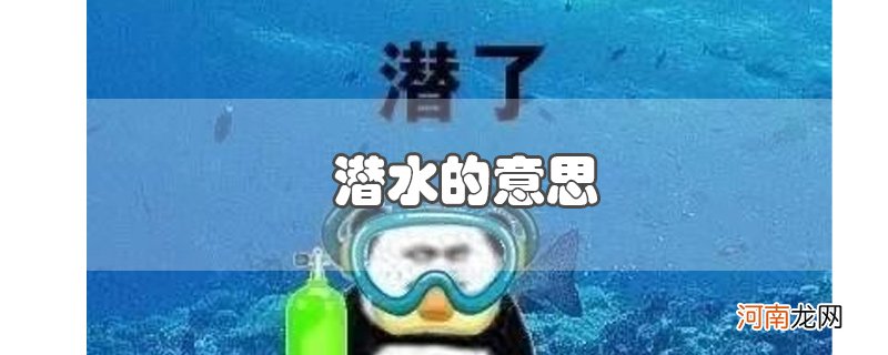 潜水的意思优质