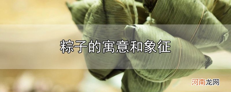 粽子的寓意和象征优质