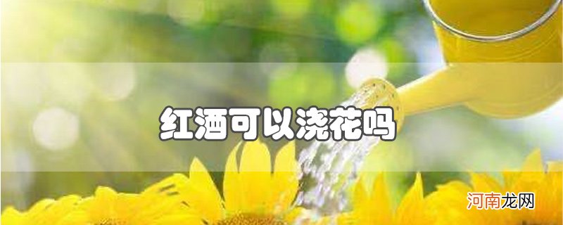 红酒可以浇花吗优质