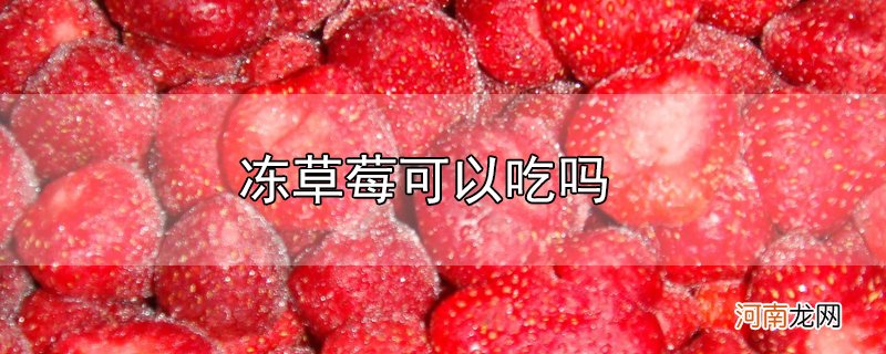 冻草莓可以吃吗优质