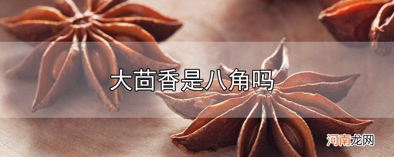 大茴香是八角吗优质