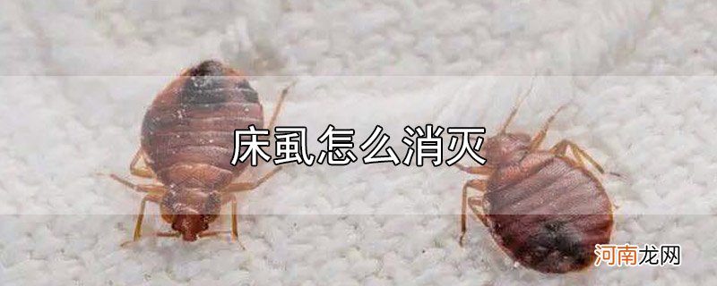 床虱怎么消灭优质