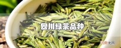 四川绿茶品种优质