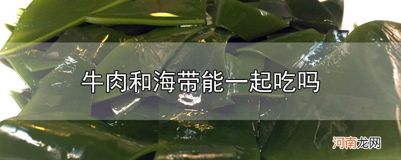 牛肉和海带能一起吃吗优质