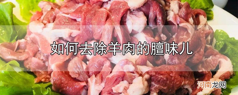 如何去除羊肉的膻味儿优质