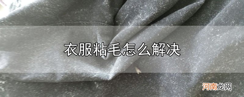 衣服粘毛怎么解决优质