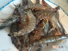 基围虾属于海鲜吗 基围虾和海虾有什么区别
