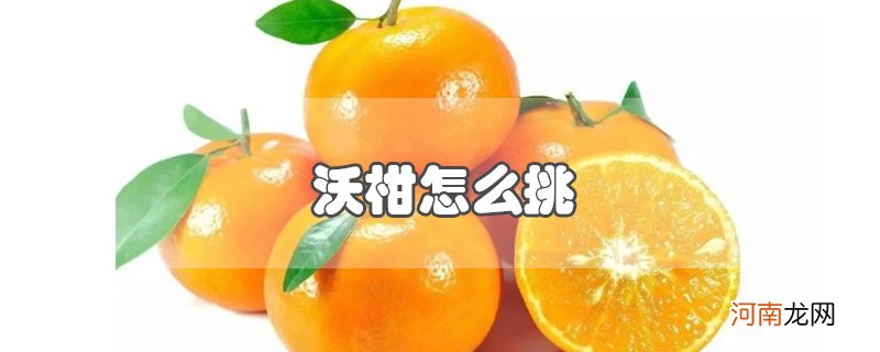 沃柑怎么挑优质