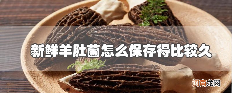 新鲜羊肚菌怎么保存得比较久优质