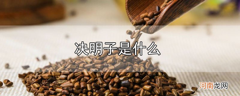 决明子是什么优质