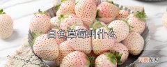 白色草莓叫什么优质