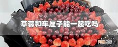 草莓和车厘子能一起吃吗优质