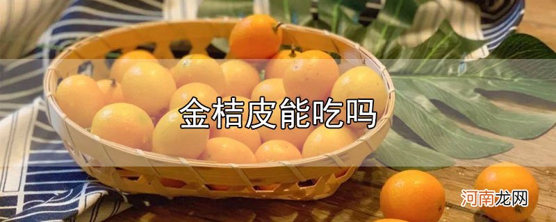 金桔皮能吃吗优质