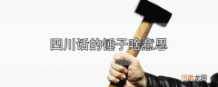 四川话的锤子啥意思优质
