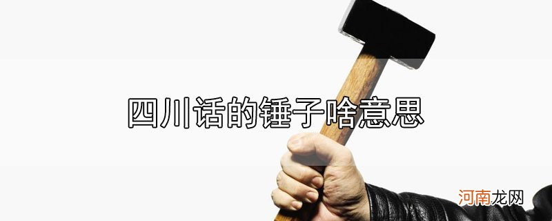 四川话的锤子啥意思优质