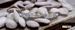 瓜蒌子是什么东西优质