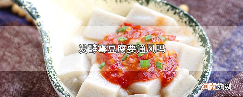 发酵霉豆腐要通风吗优质