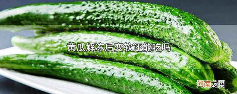 黄瓜解冻后变软还能吃吗优质