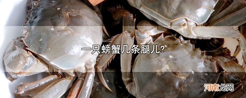 一只螃蟹几条腿儿?优质