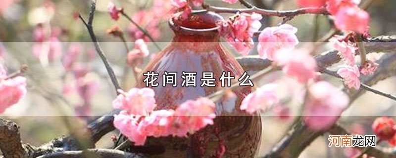 花间酒是什么优质