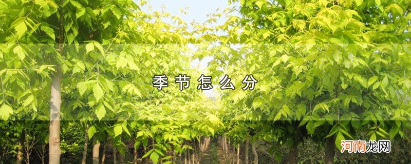 季节怎么分优质