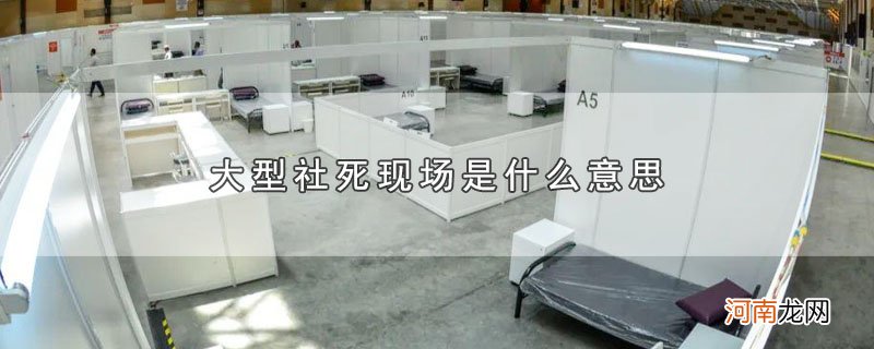 大型社死现场是什么意思优质