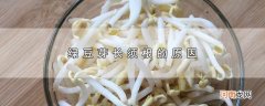 绿豆芽长须根的原因优质