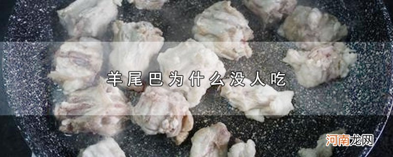 羊尾巴为什么没人吃优质