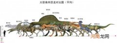 恐龙属于什么类型生物 恐龙在生物分类学上属于哪一种动物