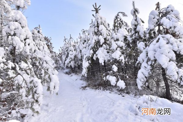 山前桃花山后雪是什么意思 山前桃花山后雪是天气还是气候