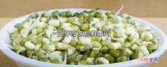 豆芽冷冻后有毒吗优质