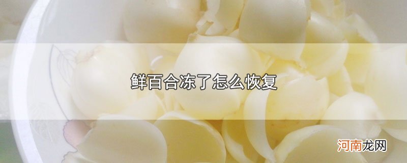 鲜百合冻了怎么恢复优质