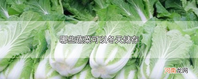 哪些蔬菜可以冬天储存优质