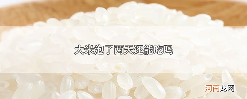 大米泡了两天还能吃吗优质