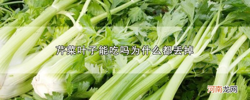 芹菜叶子能吃吗为什么都丢掉优质