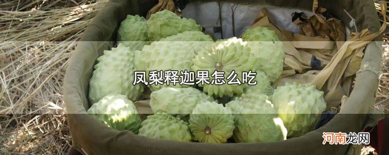 凤梨释迦果怎么吃优质