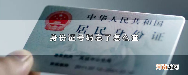 身份证号码忘了怎么查优质