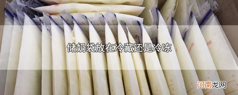 储奶袋放在冷藏还是冷冻优质