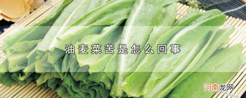 油麦菜苦是怎么回事优质