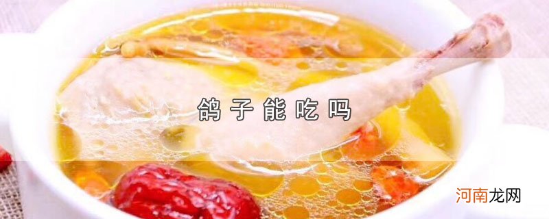 鸽子能吃吗优质