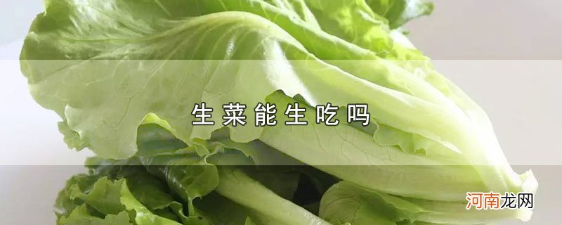 生菜能生吃吗优质