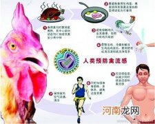 湛江出现禽流感疫情加剧，怎么预防禽流感?