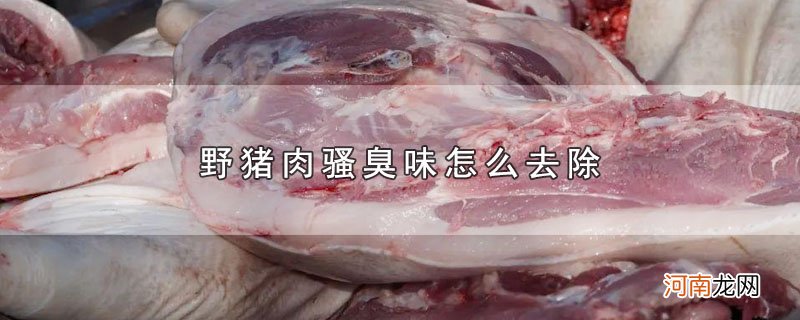 野猪肉骚臭味怎么去除优质