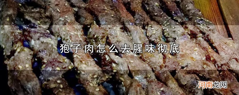 狍子肉怎么去腥味彻底优质