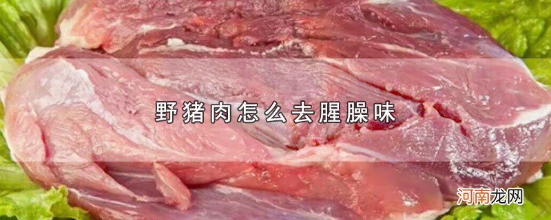 野猪肉怎么去腥臊味优质