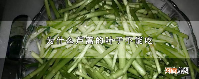 为什么芦蒿的叶子不能吃优质