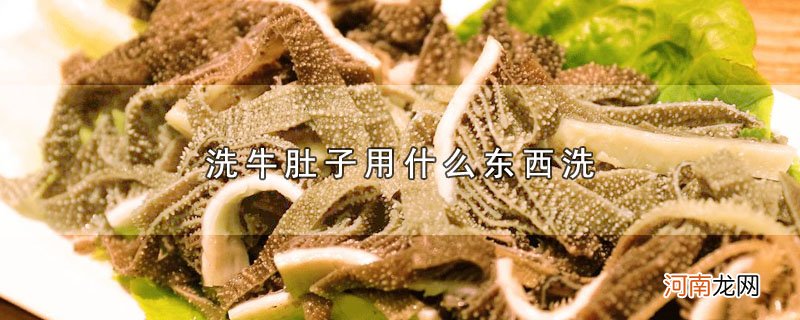 洗牛肚子用什么东西洗优质